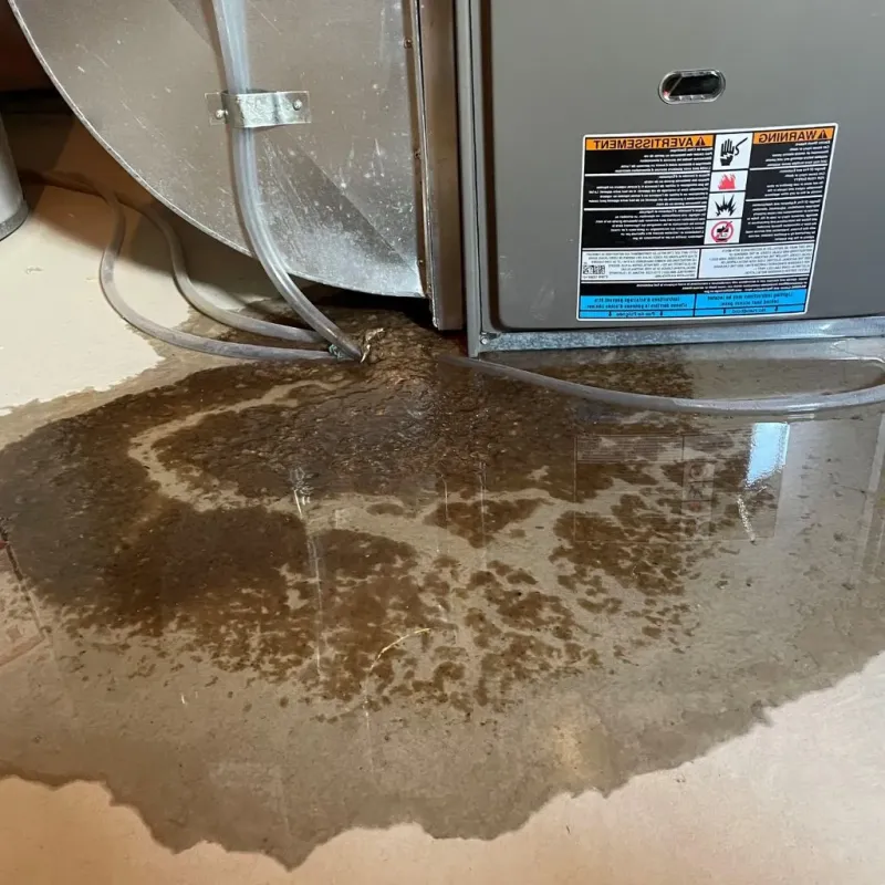 Pipe Burst and Leak Restoration in Bridgeview, IL