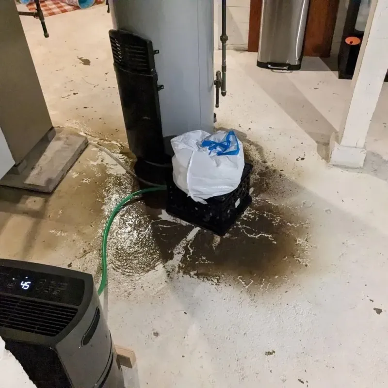 Sewage Backup Cleanup Service in Bridgeview, IL